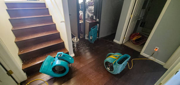 Best 24/7 water damage repair  in Lansing, KS