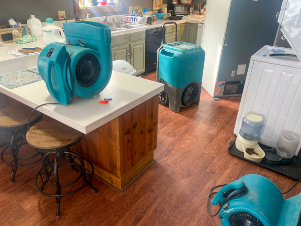Best Local water damage restoration  in Lansing, KS