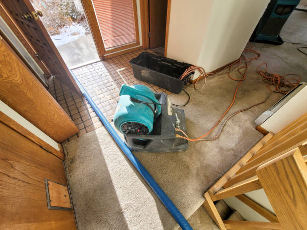 Best Water damage contractors near me  in Lansing, KS