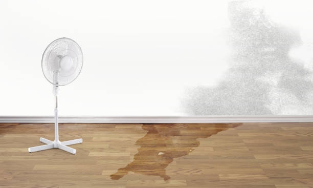 Best Water damage cleanup near me  in Lansing, KS