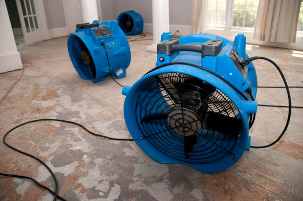 Best Water damage contractors near me  in Lansing, KS